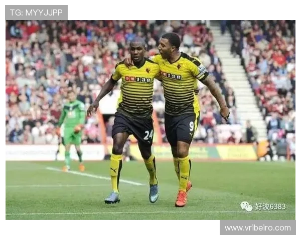 满冠体育官网为用户打造专业的体育娱乐平台，涵盖足球篮球等多项热门体育项目